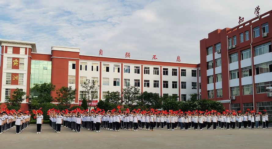 多宝手机网页版登录入口