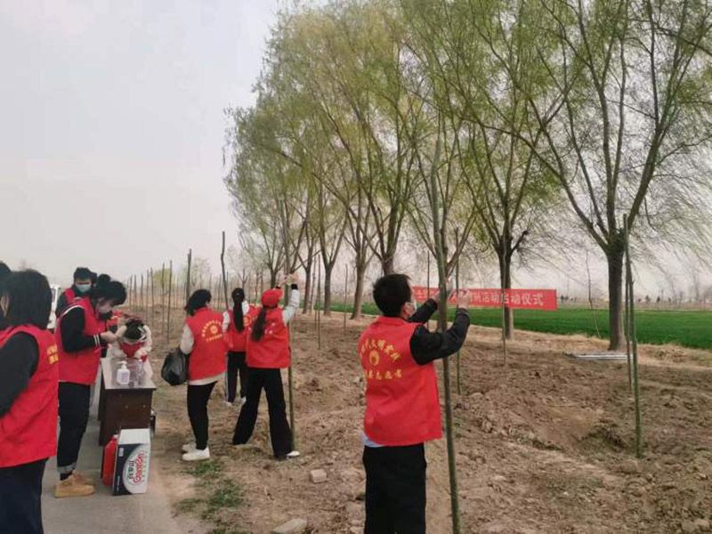 多宝手机网页版登录入口开展雷锋活动月活动