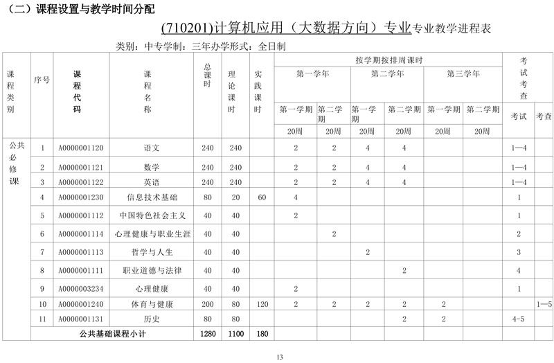 计算机专业(大数据方向)专业人才培养方案